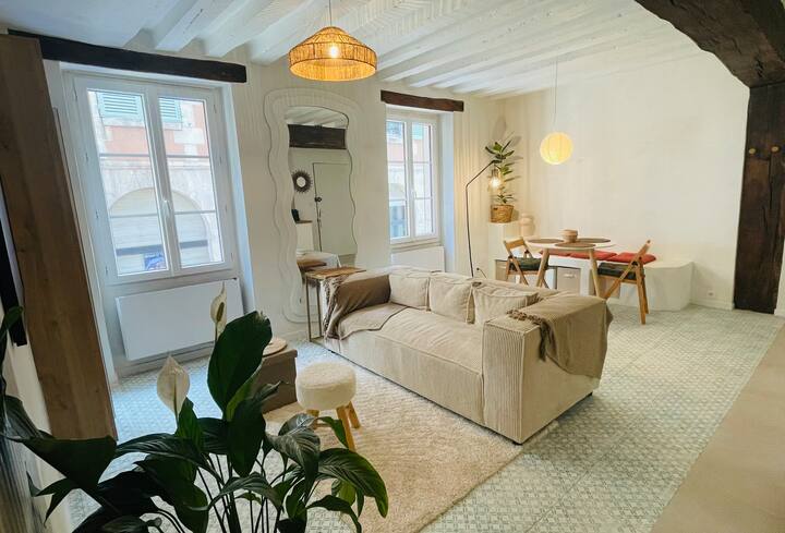 Appartement Charmant En Centre-ville - ibis Auxerre Sud
