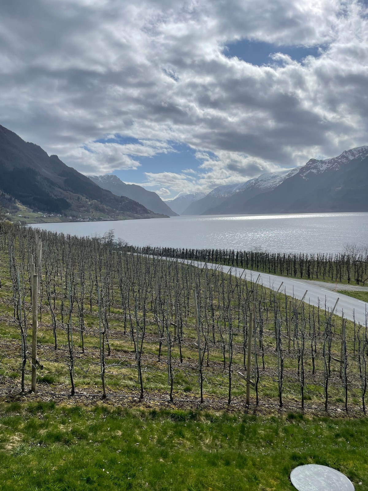 A scenic view is presented, featuring a peaceful fjord surrounded by mountainous terrain. Leafless trees line a sloping hillside, with a winding road leading towards the water's edge. Soft clouds partially cover the sky, creating a calm and serene atmosphere.
