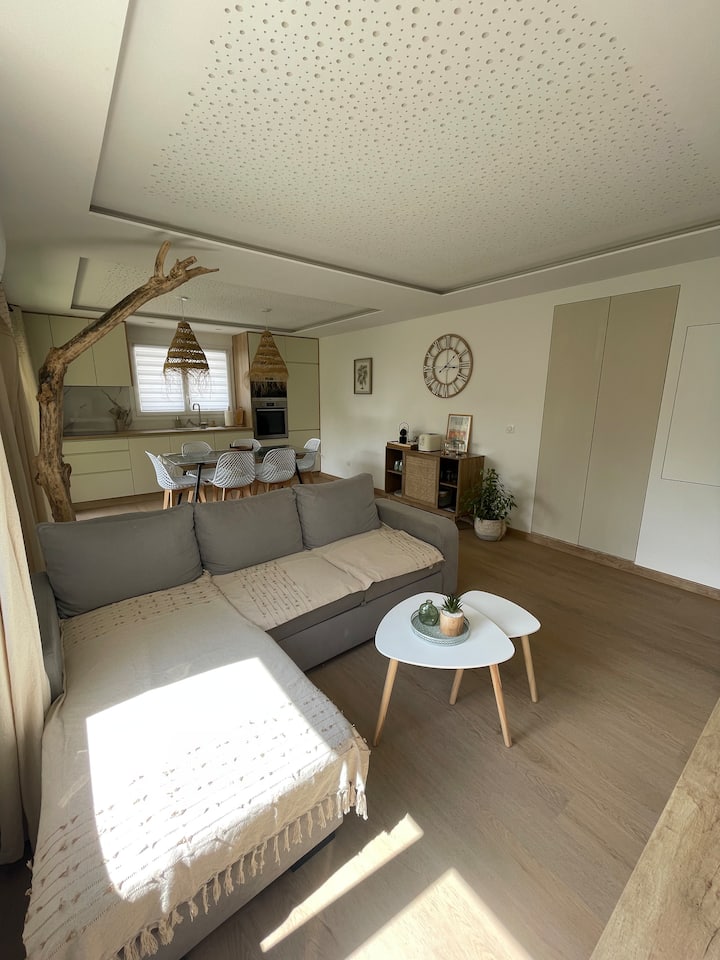 Sala de estar con sofá cama para 1 persona 