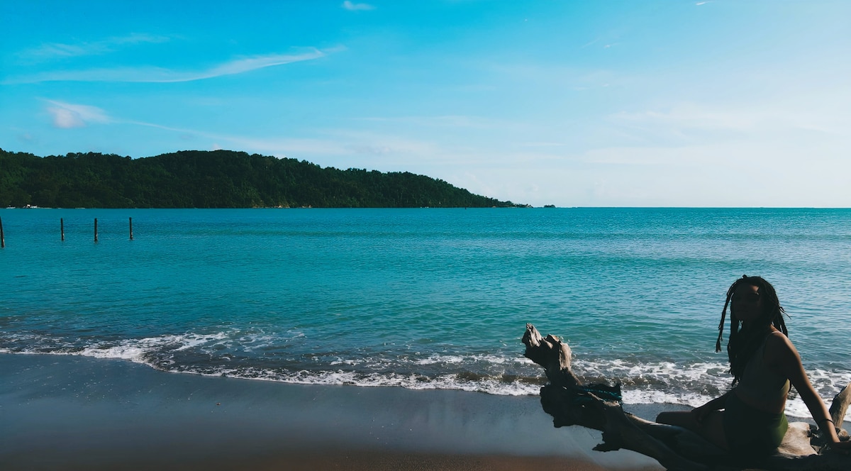 A tranquil beach scene captures gentle waves lapping against the shore, with a distant view of lush hills meeting the horizon. Soft sand provides a serene setting, while a weathered log rests on the beach, inviting moments of reflection beside the calm water.