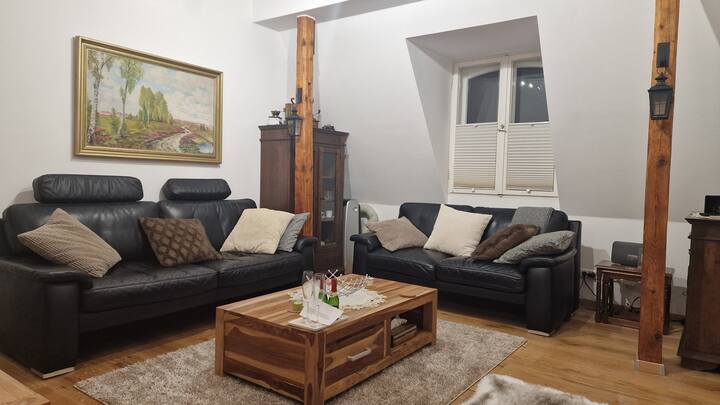 Gemütliche 2 Raum Wohnung - Dresden