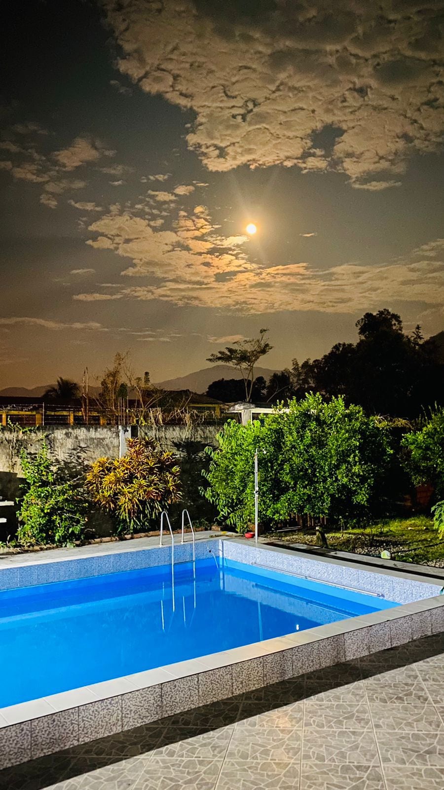A tranquil nighttime setting features a clear blue pool surrounded by lush greenery. The moon casts a soft glow on the water's surface, while clouds drift across the sky. Various plants frame the pool area, enhancing the peaceful ambiance.