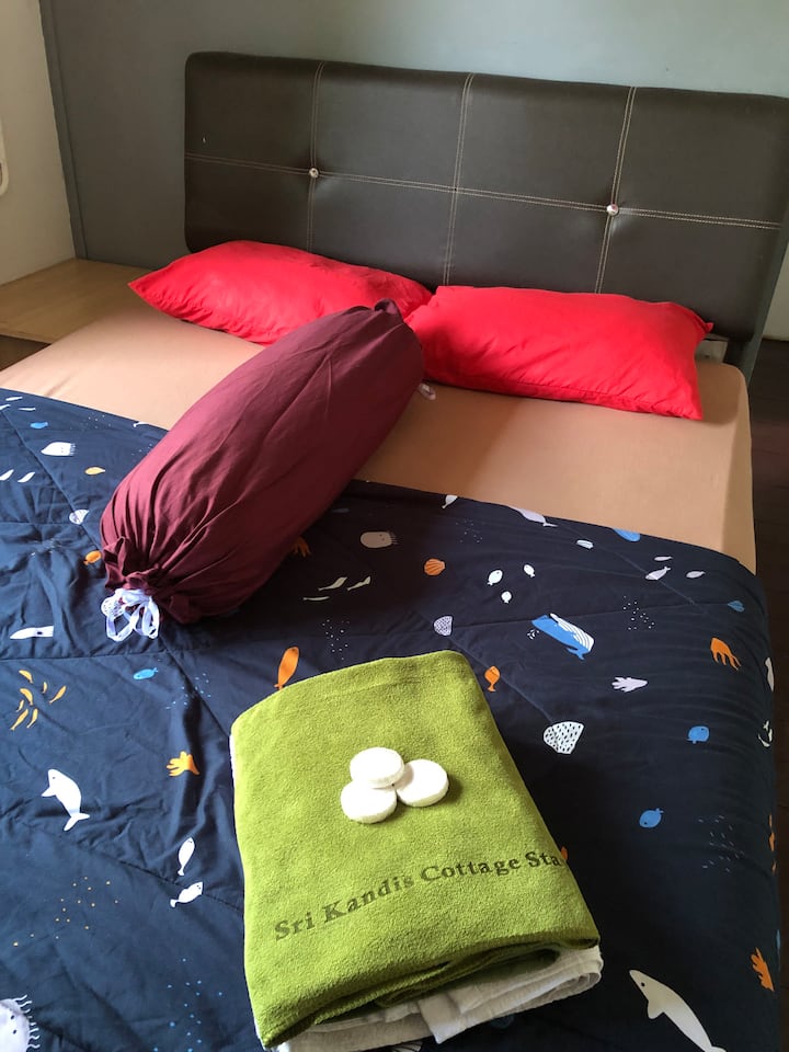 Bedroom 1