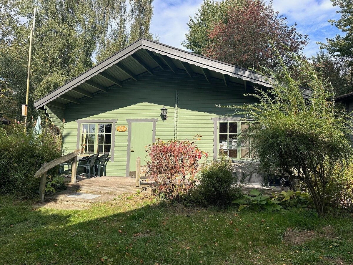 The green wooden exterior of the house is surrounded by lush greenery, presenting a welcoming entrance. A small set of steps leads to a spacious wooden porch, where black chairs are positioned. Large windows allow natural light to illuminate the interior space.