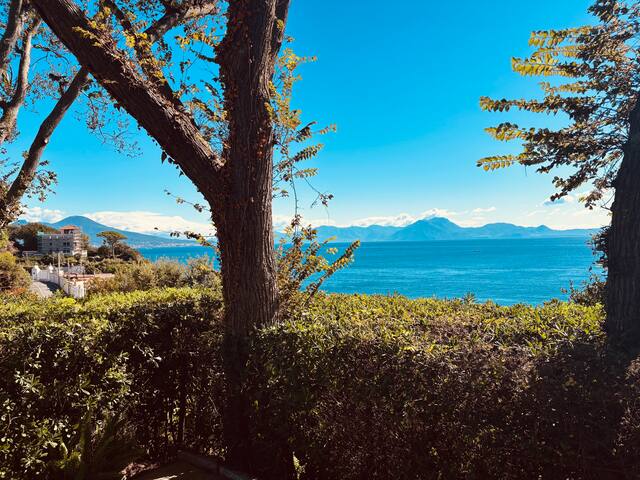 The Sea View House gallery image 2