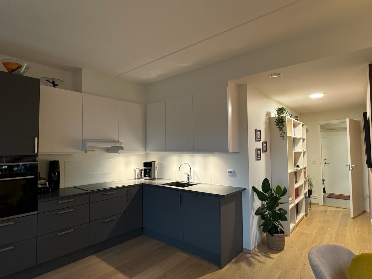 A modern kitchen is featured, showcasing sleek dark cabinetry contrasted by lighter upper cabinets. A countertop with a sink is positioned next to a coffee maker, while a potted plant adds a touch of green. A doorway leading to additional space is visible in the background.