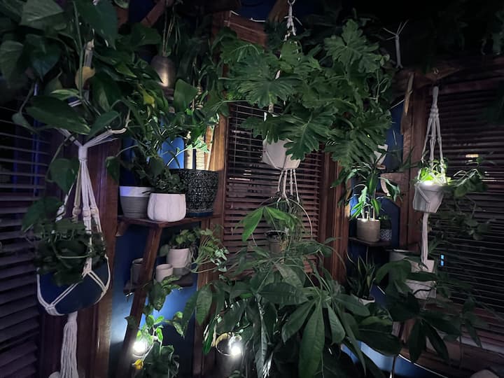 Obývacia miestnosť