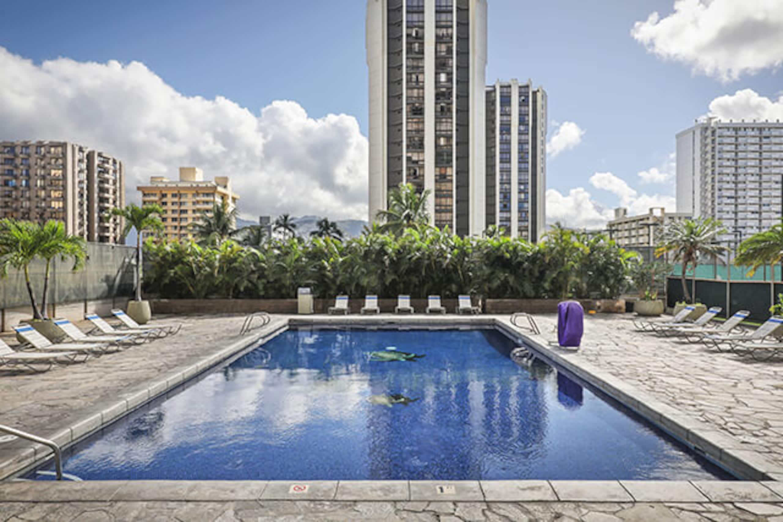Waikiki Oceanview Condo Pool/Gym/Parking -Sleeps 6 - Image 29
