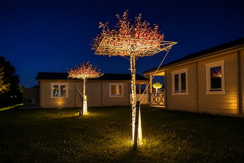 Cottage 8 De Zeehoeve