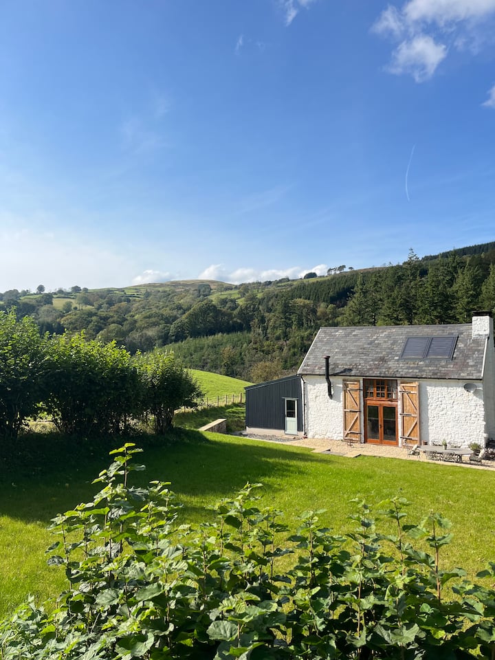 Gelliwiglan Cottage: A Unique Off-Grid Hideaway