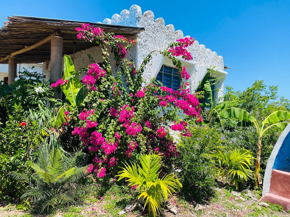 The exterior of a charming villa is adorned with vibrant bougainvillea, showcasing shades of pink against the bright white walls. Lush tropical plants, including palm and banana trees, complement the beauty of the garden, creating a serene and inviting atmosphere.