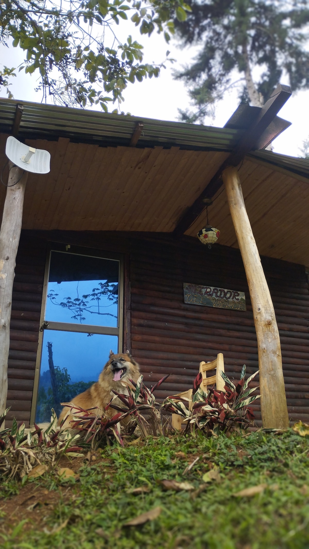 A rustic cabin entrance is framed by tall wooden pillars, accompanied by a cheerful dog resting on the grassy area. A chair sits invitingly beside a plant bed highlighted by colorful foliage, while large windows allow natural light to enter the space.