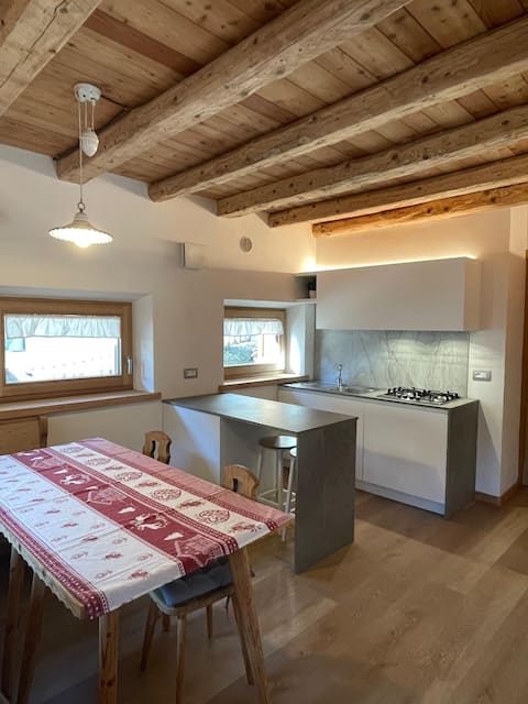 Proprietà Airbnb di successo: Gianni Rocca Apartments No. 1 ground floor a Rocca Pietore