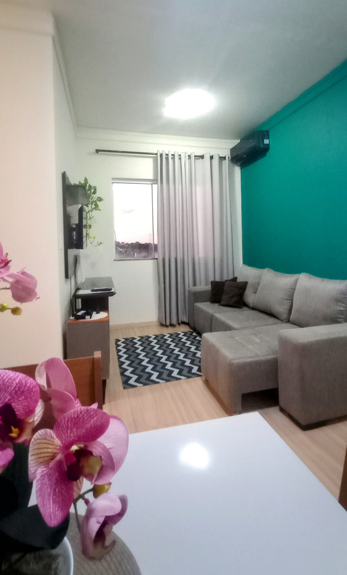 A living area features a comfortable grey sofa positioned against a vibrant teal wall. A small television unit is visible, along with a plant and decorative items. Sunlight filters through the window, highlighting a patterned rug on the floor.
