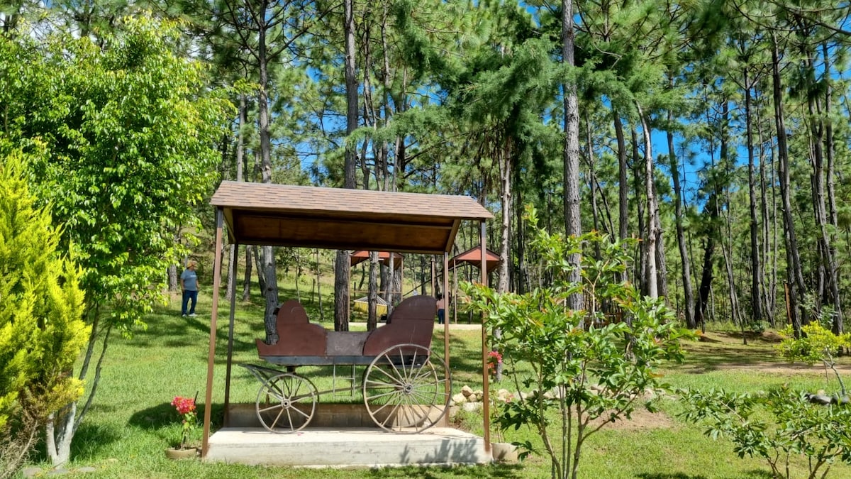 A rustic wooden gazebo provides shelter for an old horse-drawn carriage. Surrounding areas are green with natural foliage, including tall pine trees in the background. The blue sky adds to the serene alpine ambiance.