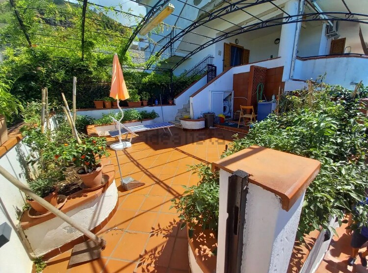 A sunlit outdoor patio features terracotta tiles surrounded by potted greenery. An umbrella provides shade over a seating area, while a small table is positioned nearby. Steps lead to an entrance, adding accessibility to the inviting space.