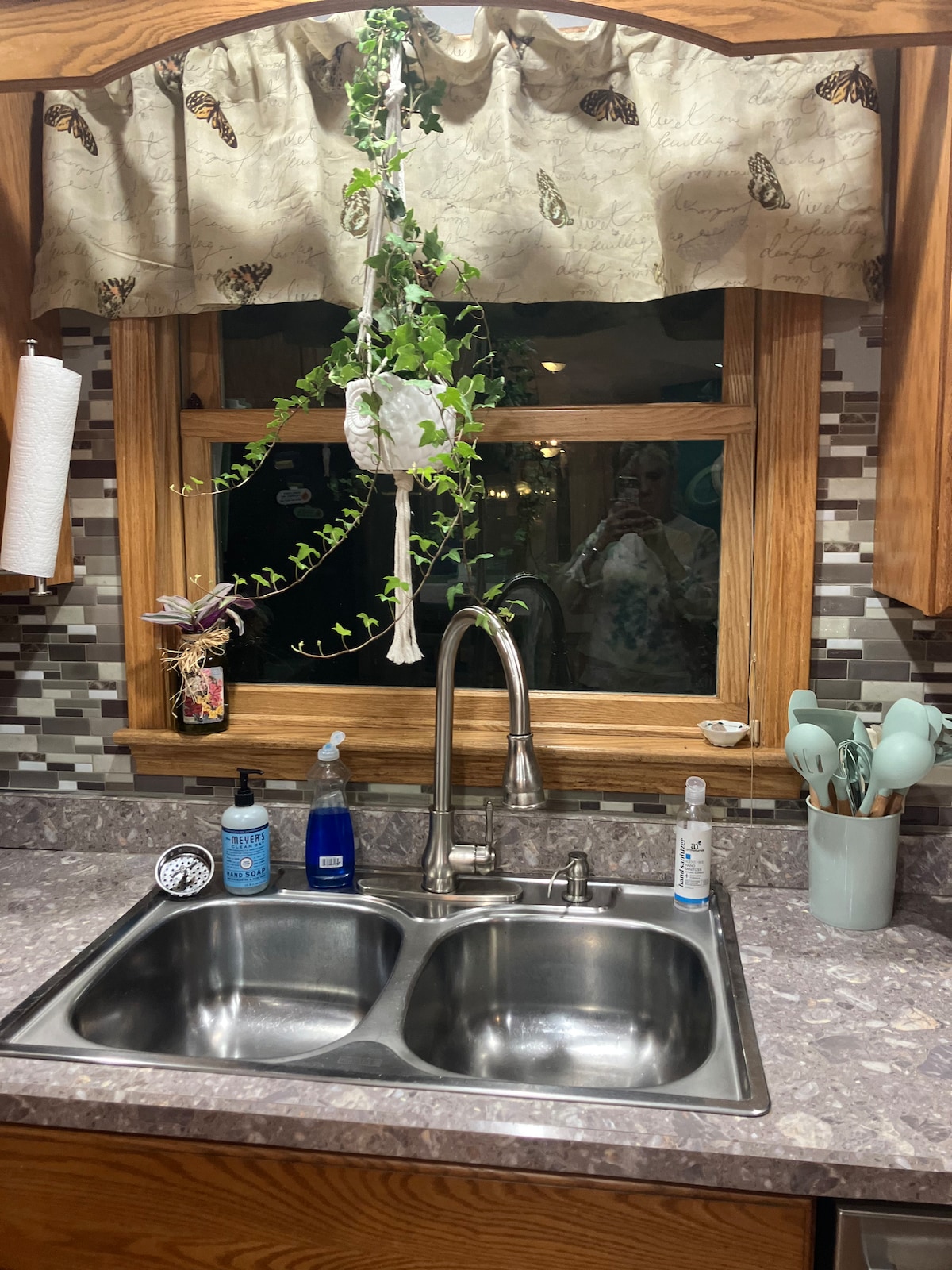 A well-appointed kitchen sink area features a double basin stainless steel sink under a window adorned with a decorative butterfly valance. A hanging plant adds a touch of greenery. The countertop is complemented by a mosaic backsplash, and various kitchen accessories are neatly arranged nearby.