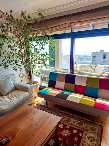 Spacious home in Green Point gallery image 5