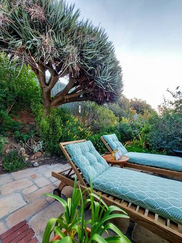 Spacious home in Green Point gallery image 2