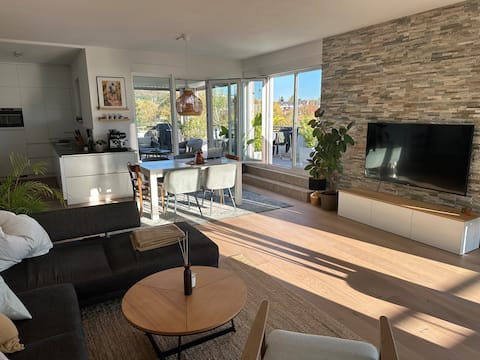 Elegant penthouse with large rooftop terrace