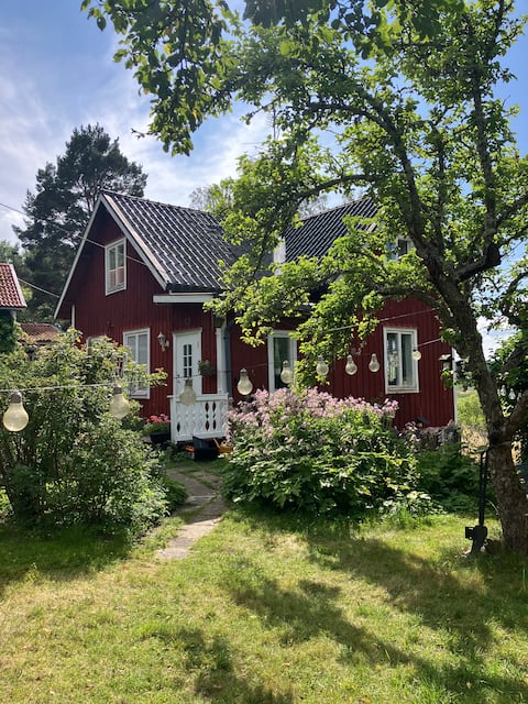 Viola's Garden Norrtälje
