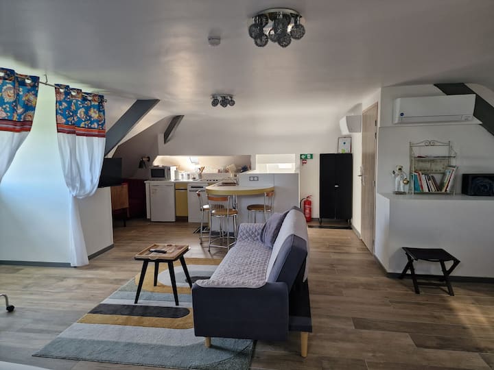Grand Studio De La Lézardière - Blois