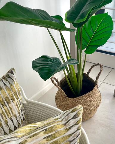 Coastal Luxe on Hastings Street gallery image 5