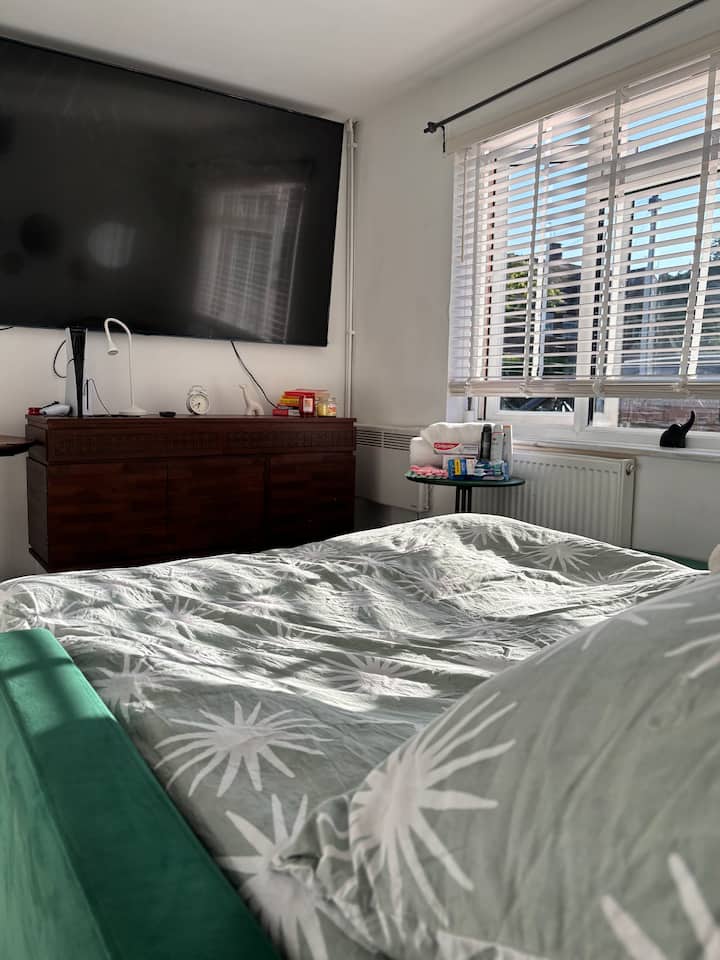 Comfy Studio - Hayes