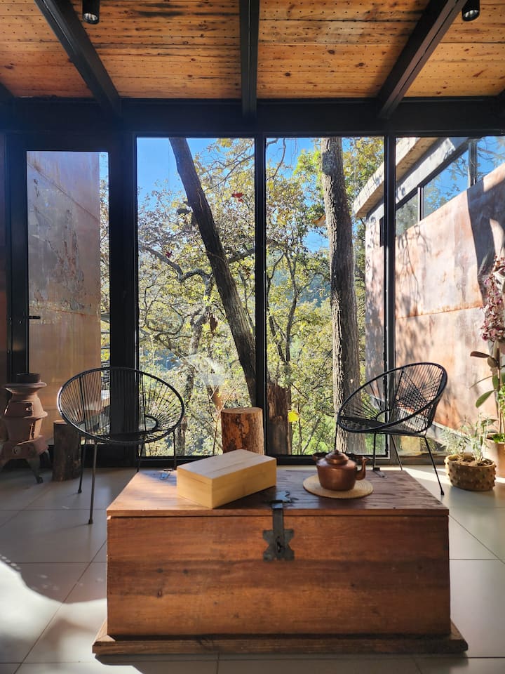 Casa Estudio, Punta Del Bosque. - México