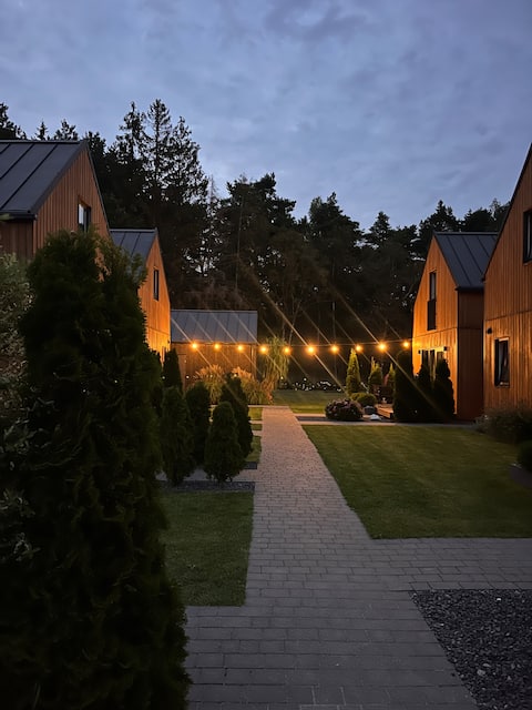 Microclimate in the forest buffer zone