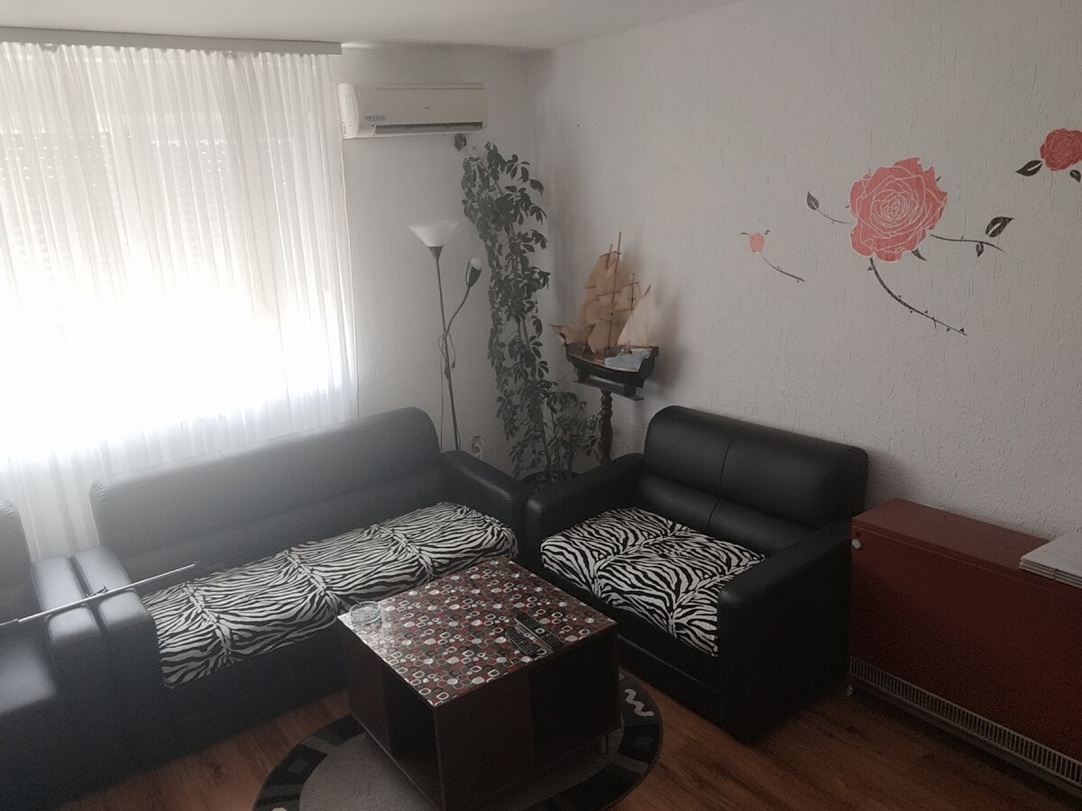 A living room area is depicted, featuring two black sofas adorned with zebra print cushions. A low coffee table occupies the center, and a decorative ship model is positioned on a shelf. Natural light filters through sheer curtains that soften the space.