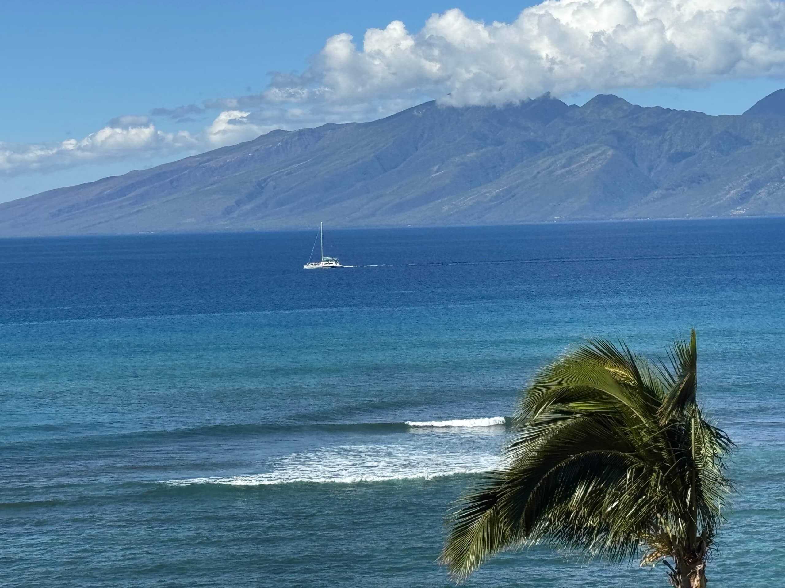 Condo in Lahaina · ★5.0 · 1 bedroom · 1 bed · 1 bath - Image 33