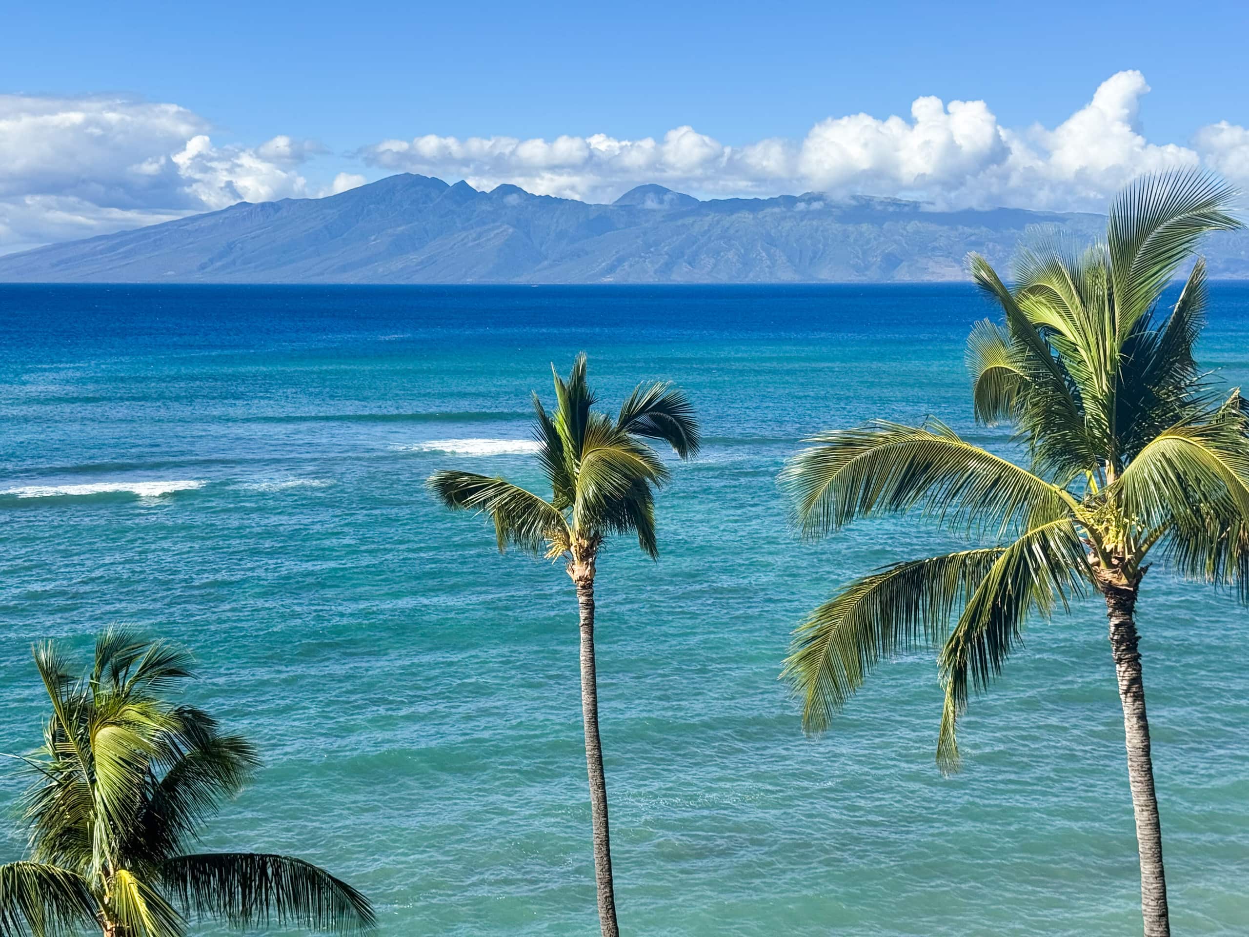 Condo in Lahaina · ★5.0 · 1 bedroom · 1 bed · 1 bath - Image 34
