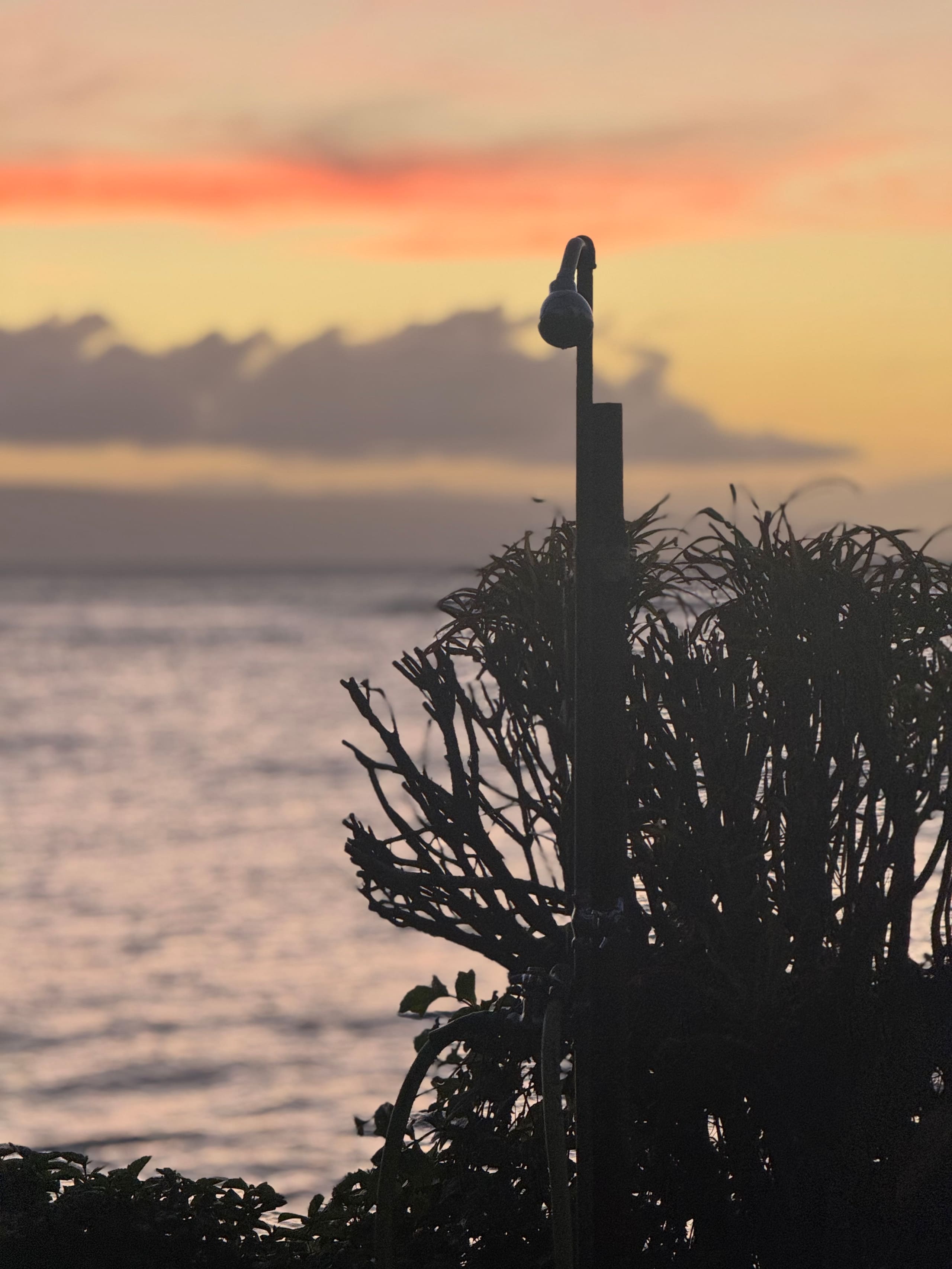 Condo in Lahaina · ★5.0 · 1 bedroom · 1 bed · 1 bath - Image 52