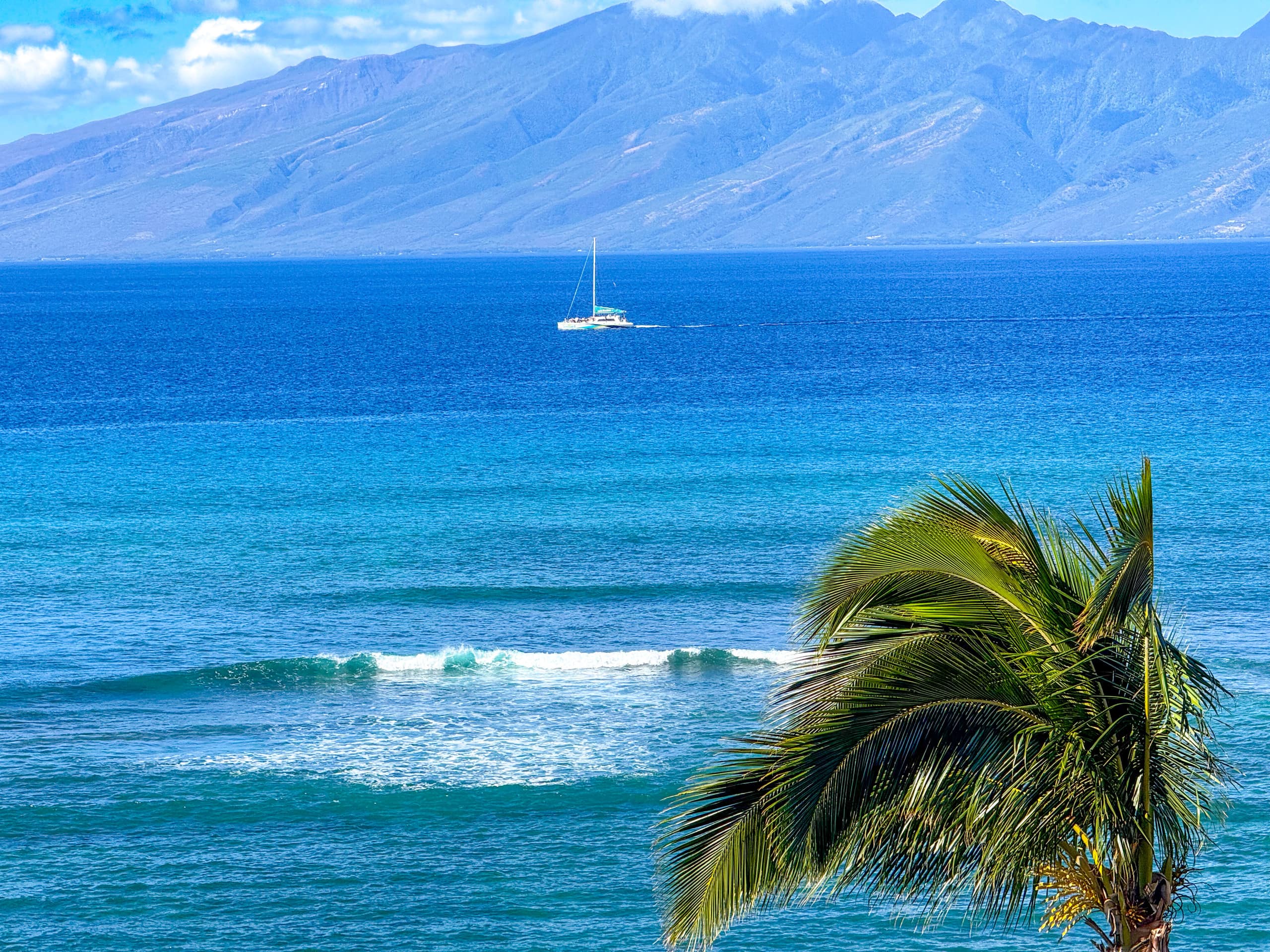 Condo in Lahaina · ★5.0 · 1 bedroom · 1 bed · 1 bath - Image 36