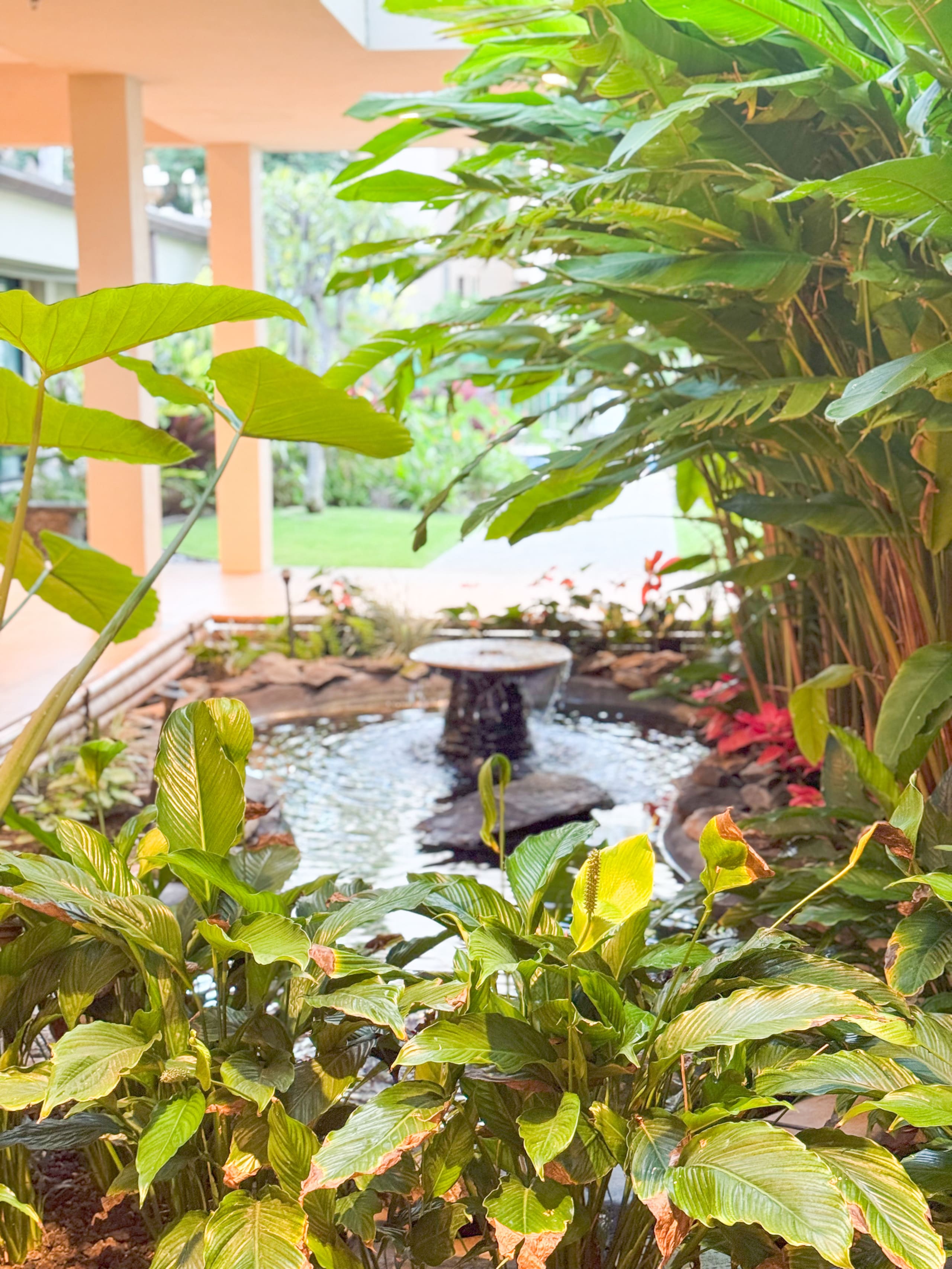 Condo in Lahaina · ★5.0 · 1 bedroom · 1 bed · 1 bath - Image 50