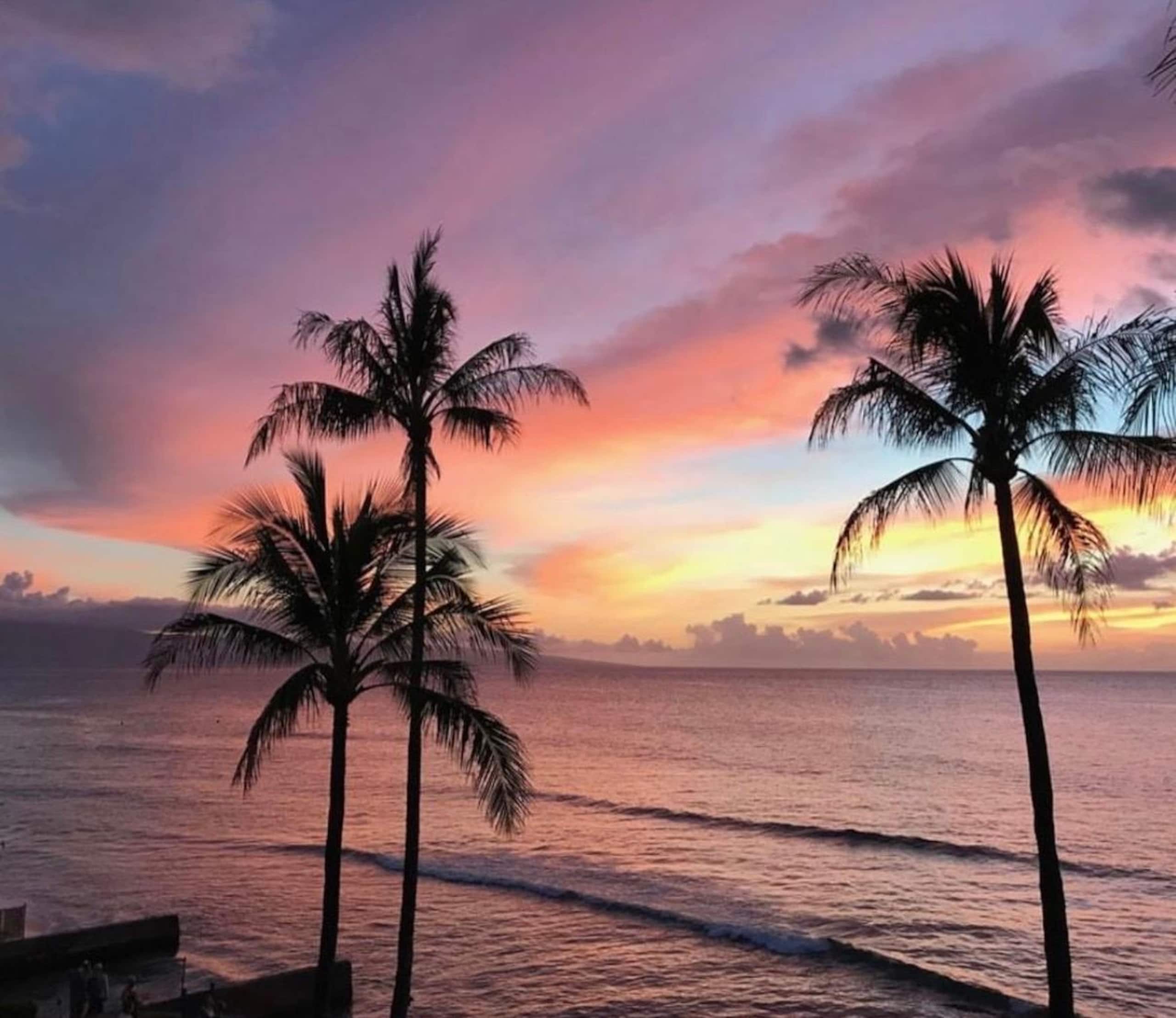 Condo in Lahaina · ★4.91 · 1 bedroom · 2 beds · 1 private bath - Image 45