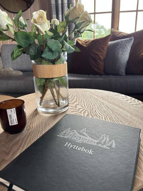 Top performing Airbnb: A place for fun and rest. in Nissedal