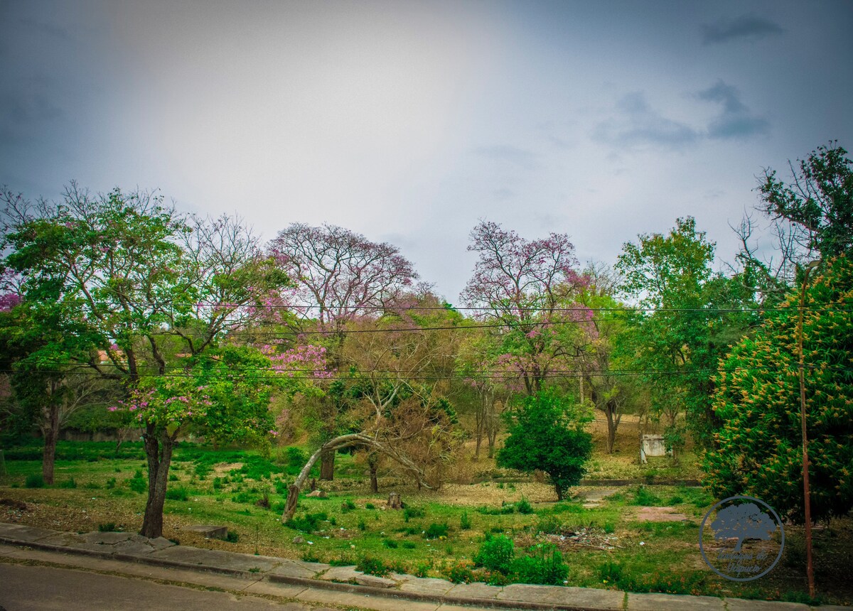 A serene landscape is visible, featuring a blend of green trees and blooming pink flora. The scene includes an open area with patches of grass and scattered foliage, all under a cloudy sky that enhances the tranquil atmosphere.