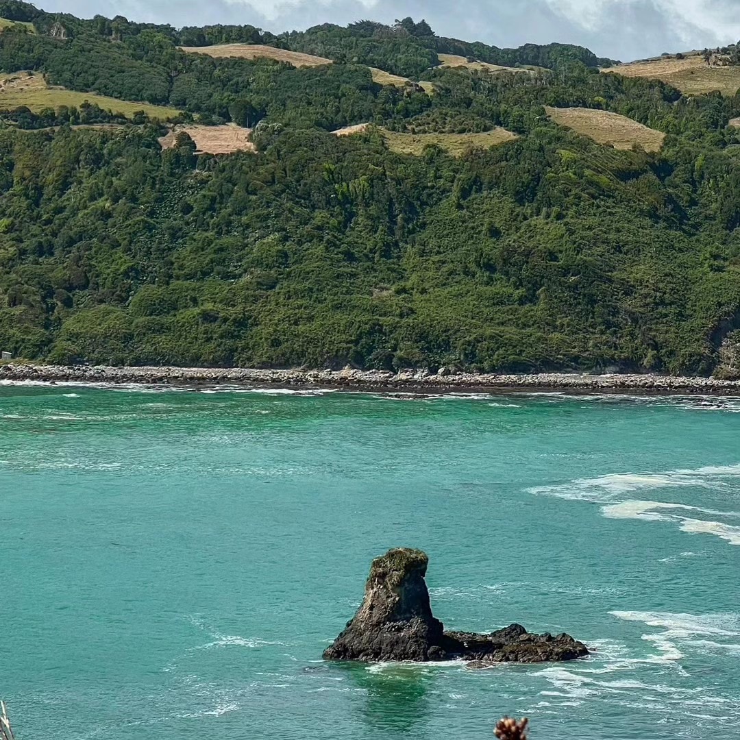 A rocky formation rises from turquoise waters, set against a backdrop of verdant hills. The landscape features a mix of greenery and patches of lighter earth tones, illustrating the natural beauty of the coastal environment.