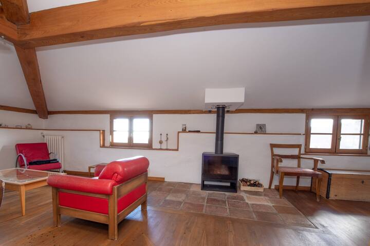 Მისაღები ოთახი ბინაში „Châtaigne“ ბუხრით