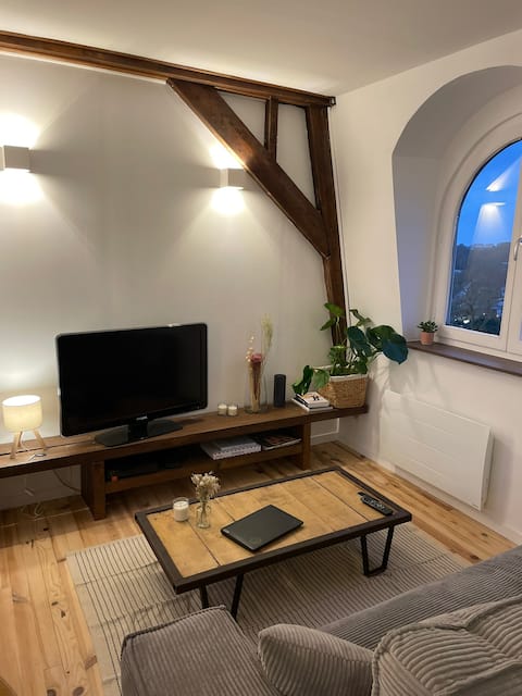 Top Airbnb: Chez Lulu - Charm between Citadel and Old Lille in Vauban Esquermes