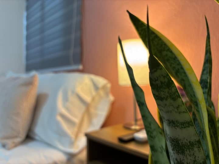 Slaapkamer 1
