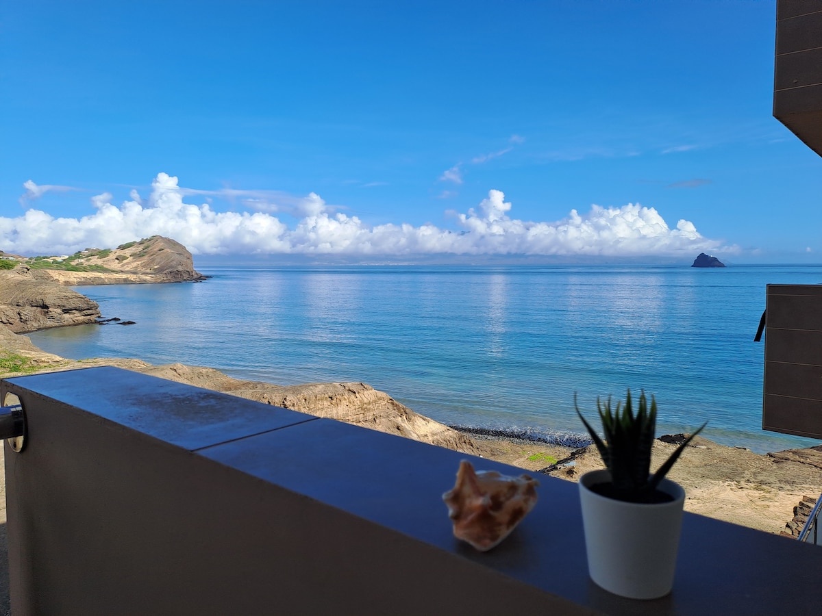 A view from a balcony features calm blue waters and a distant island, framed by a clear sky with scattered clouds. A small potted plant and a seashell are placed on the ledge, adding a touch of nature to the serene seascape.