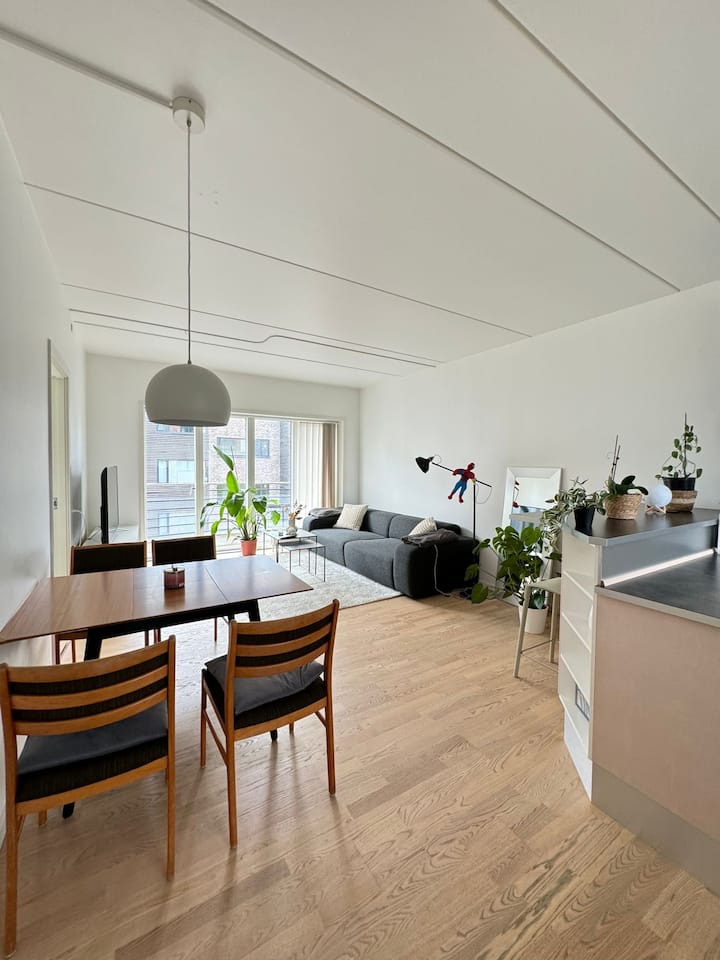Apartament Frederiksberg - Copenhaguen