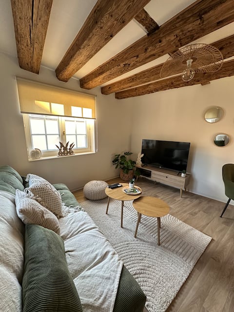 Annonce Airbnb populaire: Cozy in Sélestat · Downtown, train station, parking, Europapark à Sélestat