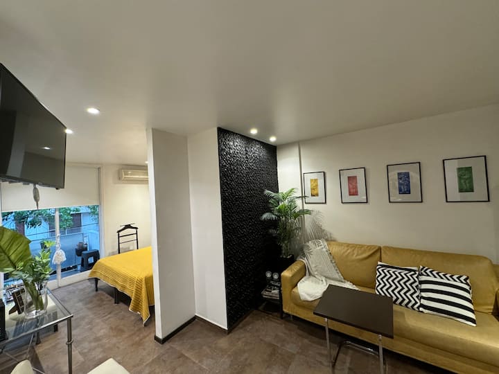 Furnished studio apartment in Recoleta