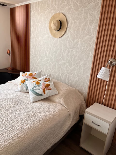 Santiago Centro Apartment