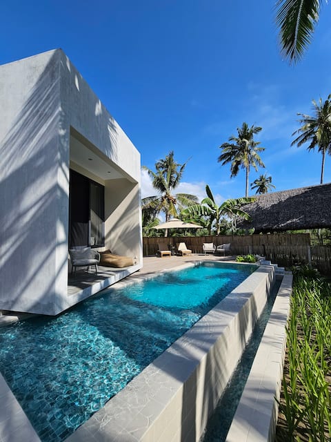 Tropical Nordic
Pool Villa
in Roxas, Palawan