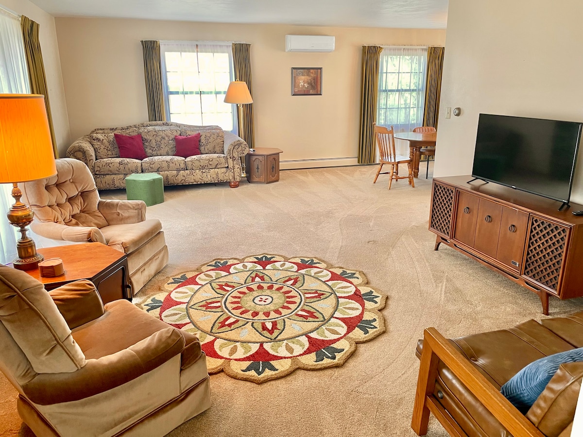 A spacious living room features a patterned area rug at its center, surrounded by comfortable seating options including an armchair and a sofa. Natural light fills the space through large windows, complemented by a wooden table and chairs in the background. A TV stand holds a television for entertainment.